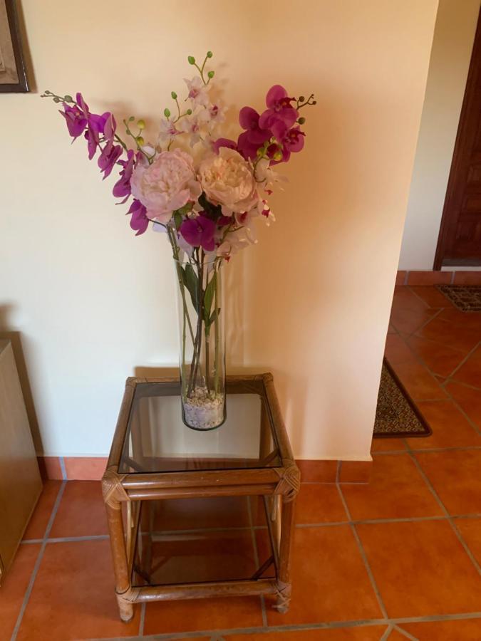 Casa Fraile San Miguel Lägenhet San Miguel de Allende Exteriör bild