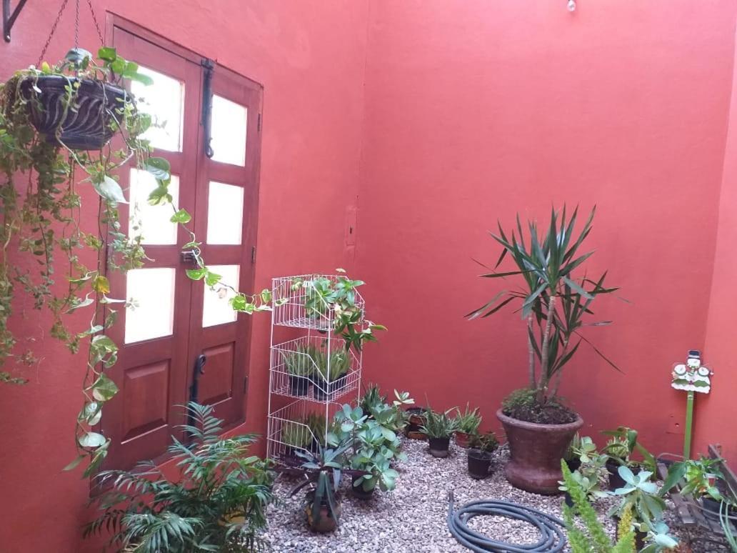 Casa Fraile San Miguel Lägenhet San Miguel de Allende Exteriör bild